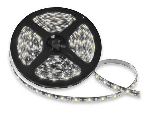 Tira Led Tunix La-frh5 3528 Blanca 5m 12v