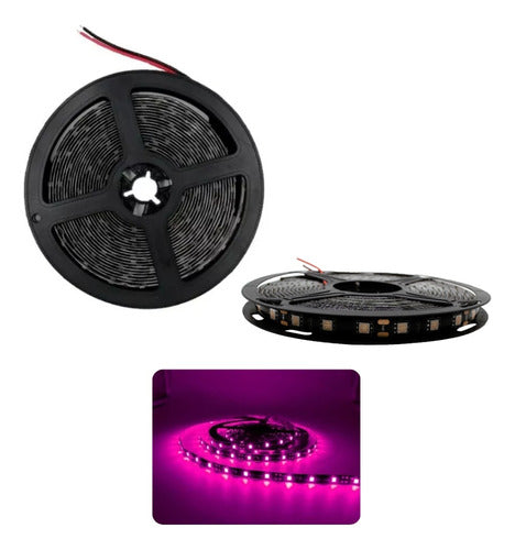 Rollo Led 3528 Rosa Fondo Negro Ip65 Contra Agua 12v